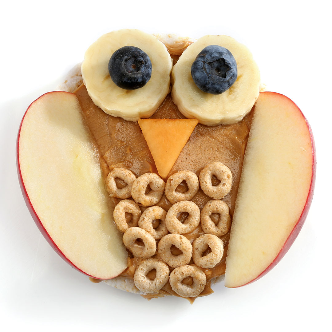 Owl Rice Cake Snack