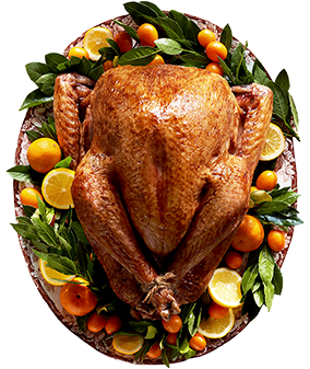 Dressed Holiday Turkey