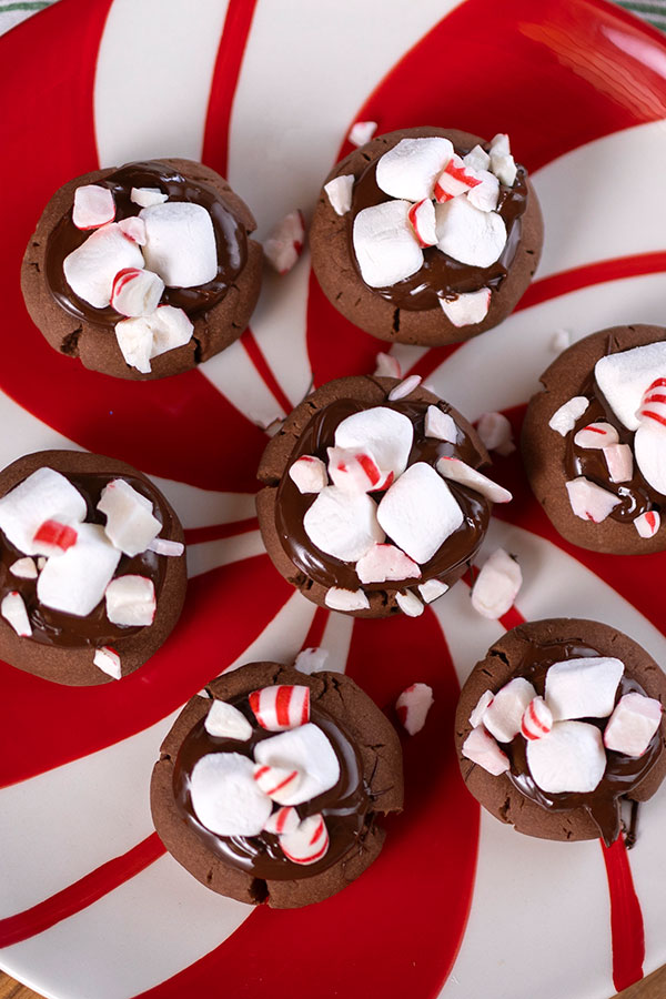 Hot Chocolate Cookies